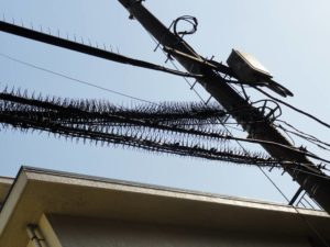 敷地内に電柱がある新築は毎年お金が貰える?貰える金額とデメリット3